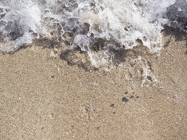 istock Wave of Waikiki Beach 486505775