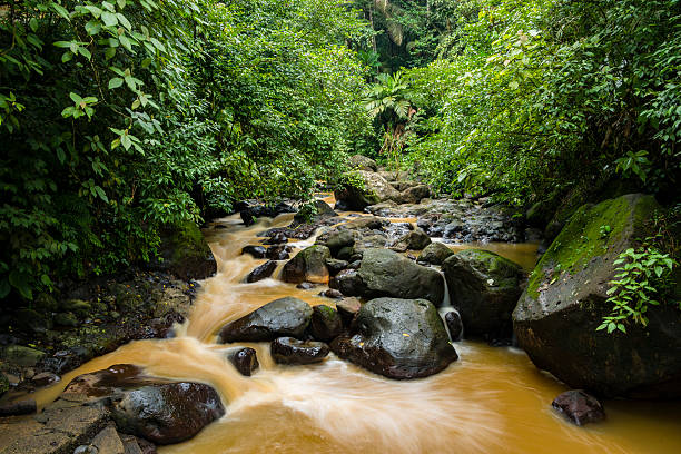 Silt laden stream in a tropical rainforest in San Carlos, Costa Rica.  After a strong rain fall the streams become brown colored due to the silt that they are carrying.