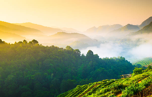 istock Beautiful sunshine at misty morning mountains . 486507306
