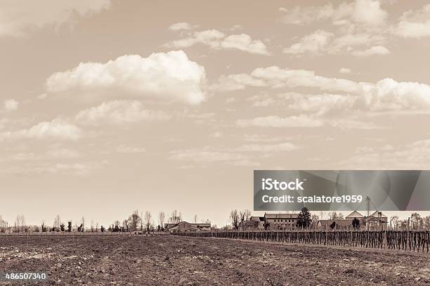 Vintage Effect Agricultural Landscape With Vineyard Stock Photo - Download Image Now