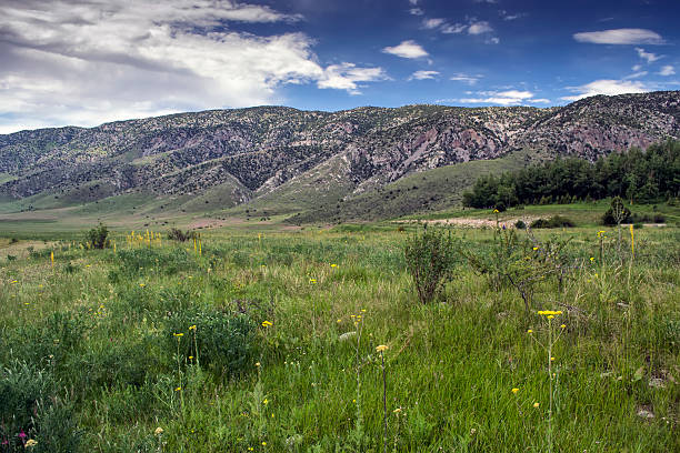 istock Mountains of Kyrgyzstan 486508462