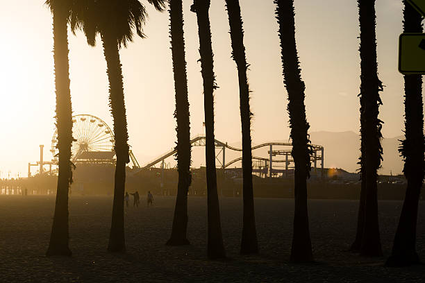 пальмами и пирс санта-моники в округ лос-анджелес - santa monica pier santa monica beach night amusement park стоковые фото и изображения