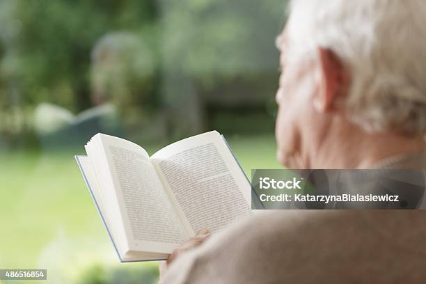 Hombre Viejo Leyendo Libro Foto de stock y más banco de imágenes de 2015 - 2015, Adulto, Aprender