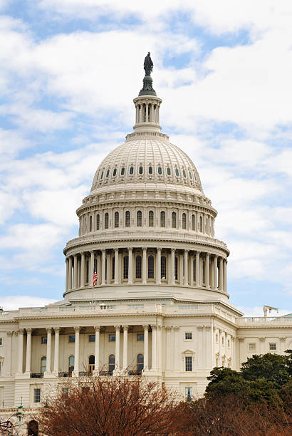 istock Capitol dome in Washington, DC, USA 486517394