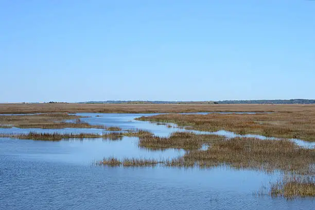 Coastal Wetlands near a Southern Coastal Island