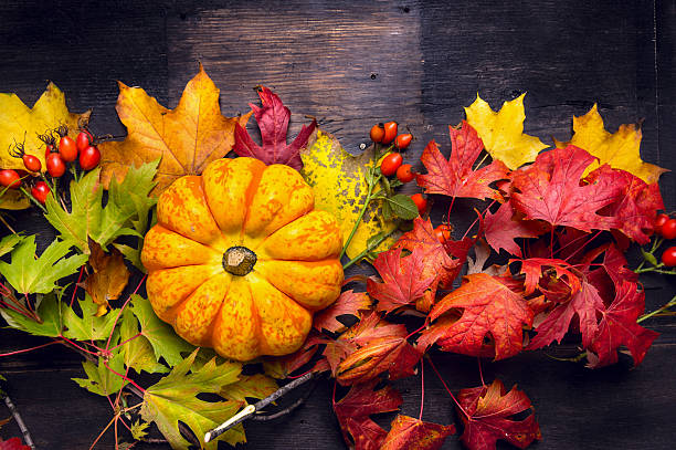 istock Beautiful pumpkin on colorful autumn leaves, dark 486522112