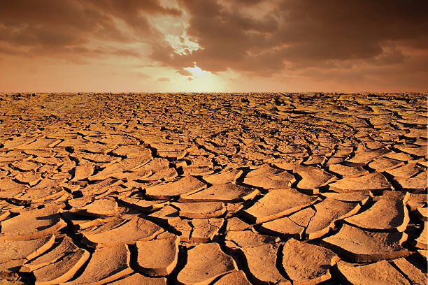 istock Dry soil texture on the ground with sky background 486522712