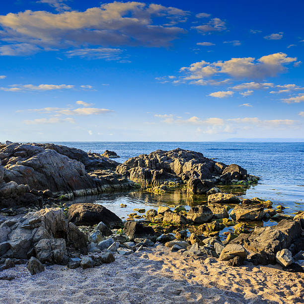 istock sea coast with boulders and sand 486523913