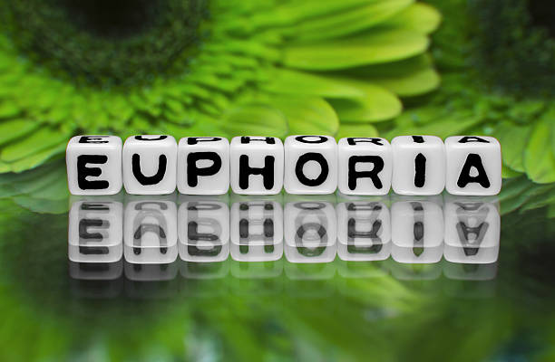 istock Euphoria text message with green flowers 486526035