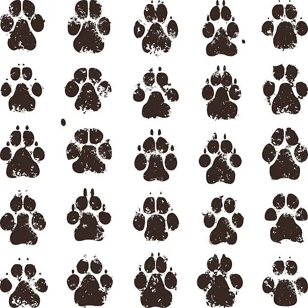 Vector illustration of Dog Paw Prints