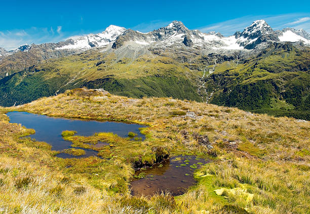 istock magnificent fabulous scenery in New Zealand 486527953