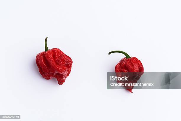 Carolina Reaper Chilli Pepper On White Stock Photo - Download Image Now - South Carolina, Grim Reaper, Pepper - Vegetable