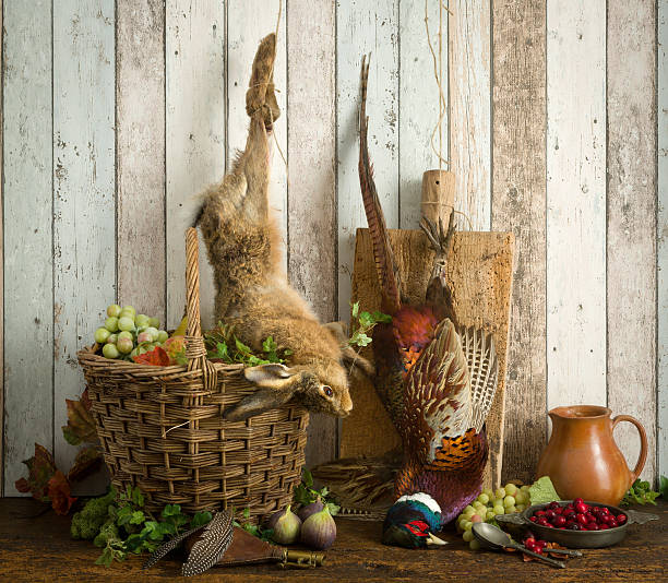 istock Dead hare in hunting still life 486529046