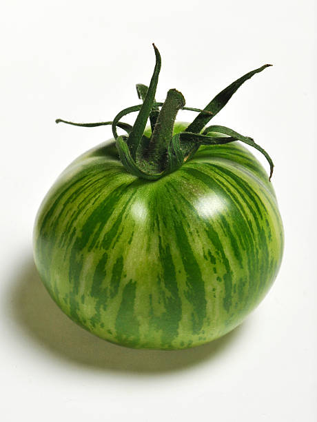 green zebra tomato stock photo