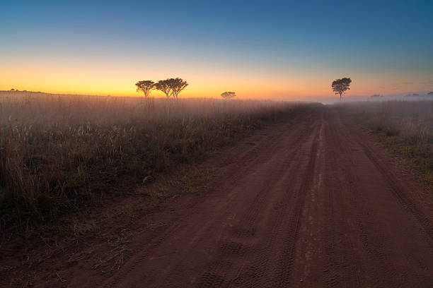istock Sunrise road at Ezemvelo 486530460