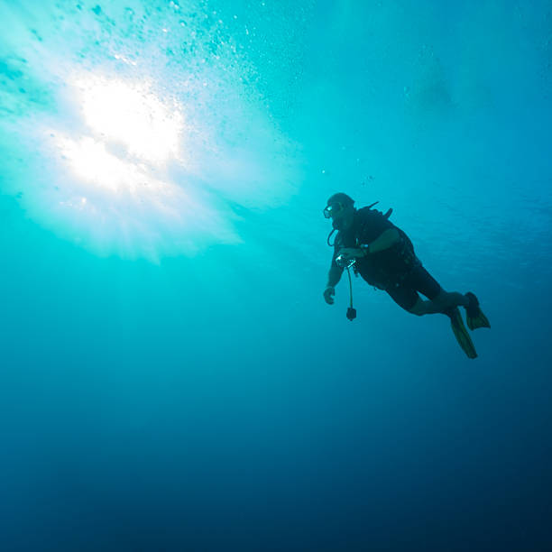 istock Silhouette of diver with sun disk 486531134