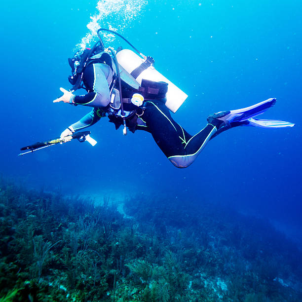 Lady diver in the Red Sea, Yanbu, Saudi Arabia. In the background a gorge in the reefs