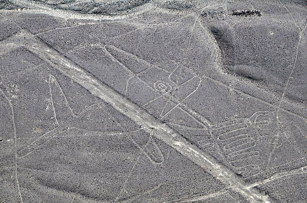 istock Nazca Lines - Whale - Aerial View 486531522