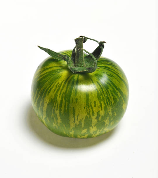 green zebra tomato stock photo
