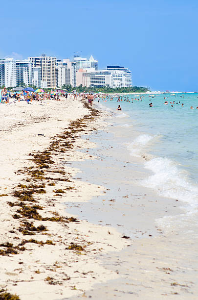 istock Miami Beach during low tourist season 486533766