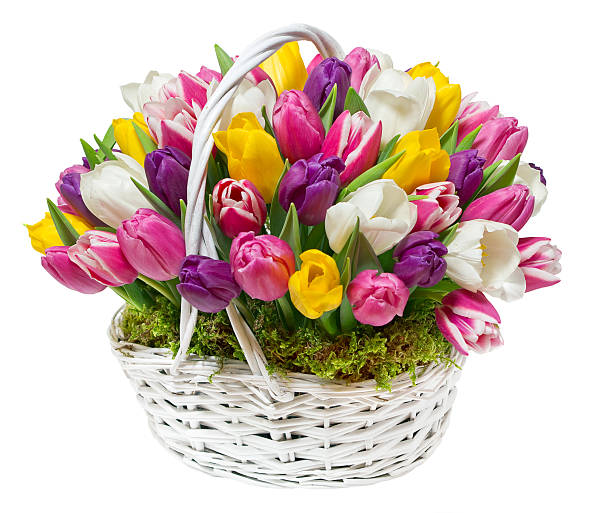istock bouquet of tulips in a basket 486534064