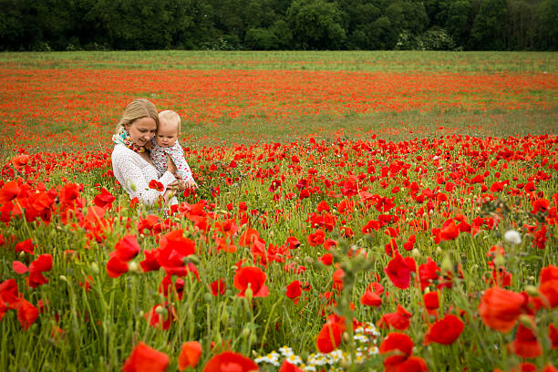 Mommy and daughter in a meadow stock photo