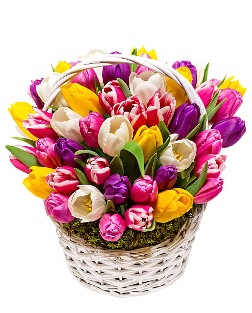 istock bouquet of tulips in a basket 486538054