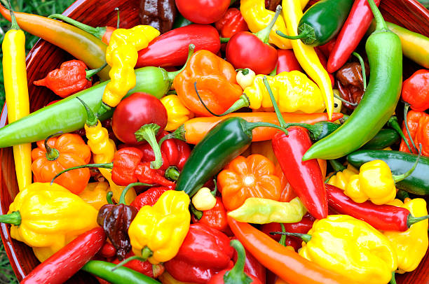 fresh chili peppers mix stock photo
