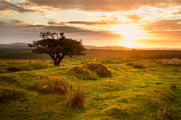 istock Sunrise over the moors, England 486542408