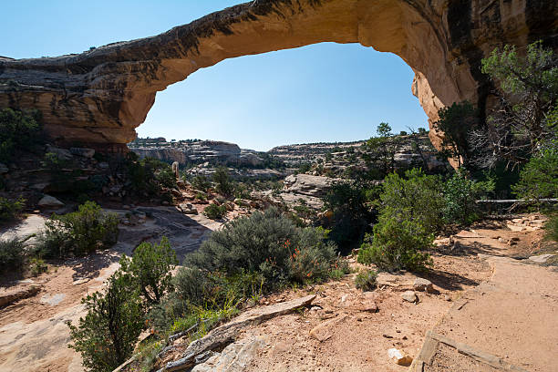 istock National Bridges National Monument, Utah, USA 486542722