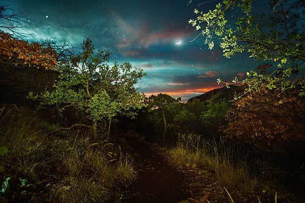 Photo of Lost Mine Trail. Road trip to Big Bend.