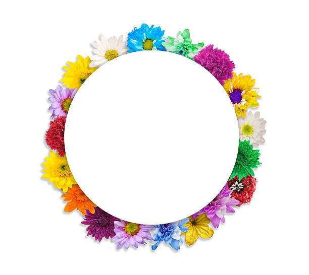 istock arrangement flower frame isolated on white background 486544112