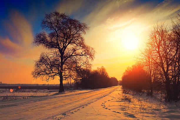 istock Rural winter landscape at sunset 486544558