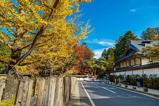 The Road to Danjo Garan Temple in Mt. Koya Area in Wakayama, Japan