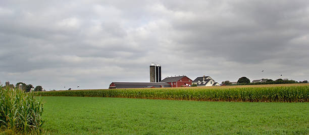 istock Red Barn in Amish Country 486545142
