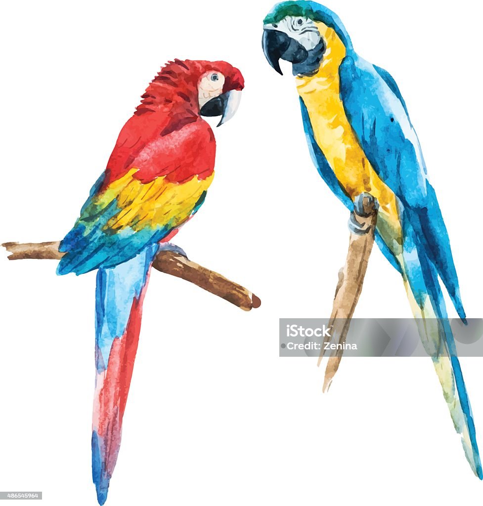 Watercolor parrot Beautiful vector image with nice watercolor parrot Parrot stock vector