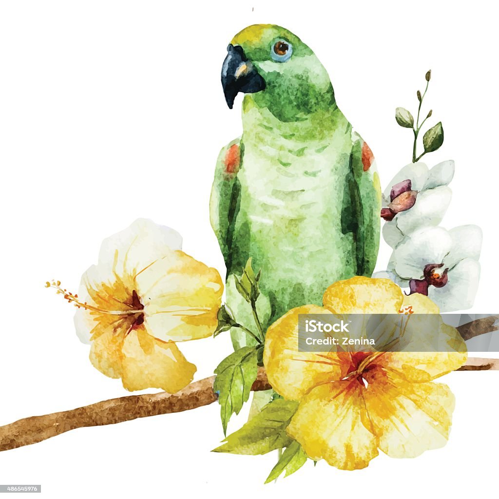 Watercolor parrot Beautiful vector image with nice watercolor parrot 2015 stock vector