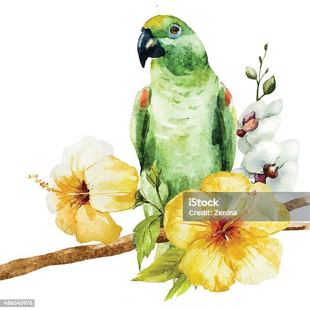 Watercolor Parrot Stock Illustration - Download Image Now - 2015, Adulation, Animal