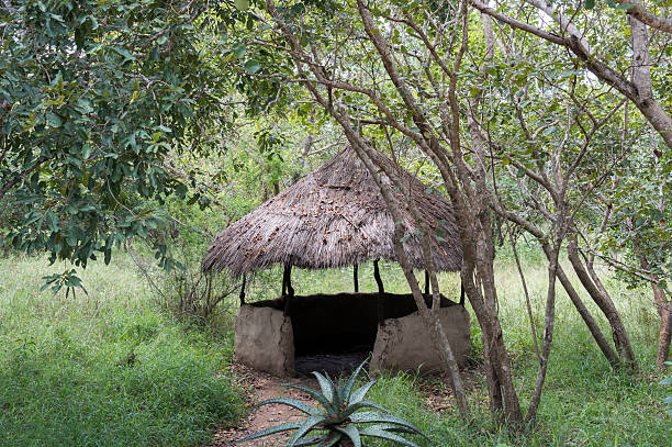 istock Rural African hut in  africa nature 486547319