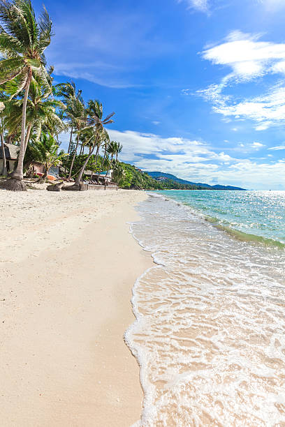 istock Beautiful tropical beach with palm trees 486547574