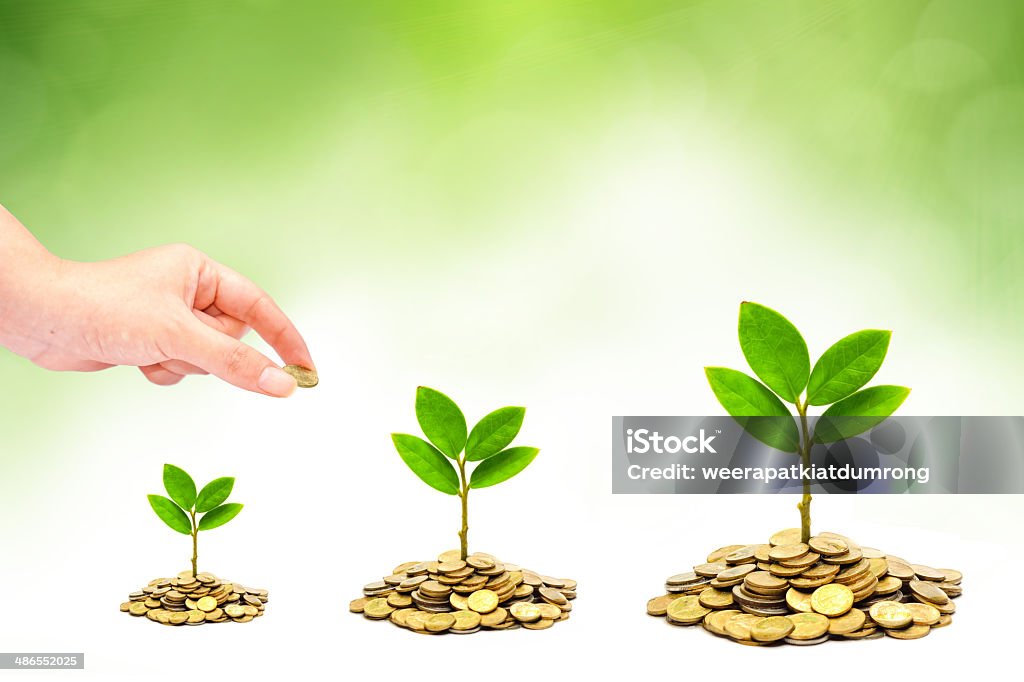 trees growing on coins / csr hand giving a golden coin to trees growing on piles of coins / csr / sustainable development / trees growing on stack of coins Business Stock Photo