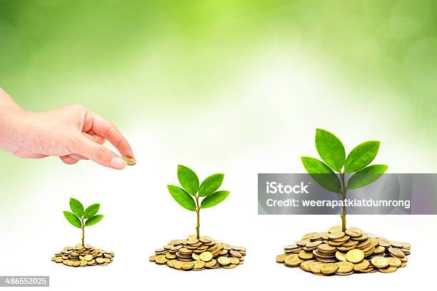 Trees Growing On Coins Csr Stock Photo - Download Image Now - Business, Business Finance and Industry, Coin