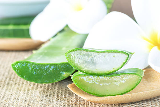 istock Aloe Vera use in spa for skin care 486552156