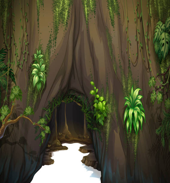 ilustraciones, imágenes clip art, dibujos animados e iconos de stock de cueva - grass branch wealth forest