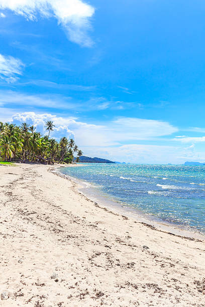 istock Beautiful tropical beach with palm trees 486552390
