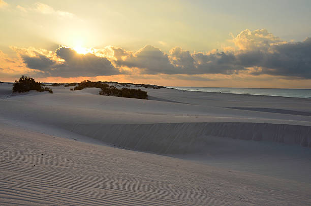 istock Sunrise in the dunes in Stero, Socotra 486552425