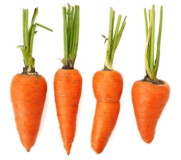 istock Four raw whole organic imperfect orange carrots isolated 486552950