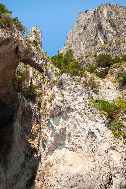 istock Vertical coastal landscape with rocks and cave 486553704