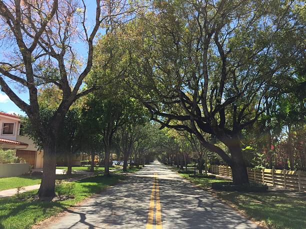 istock streets of Coral Gables 486554368