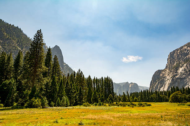 istock Yosemite National Park, California, USA 486559680